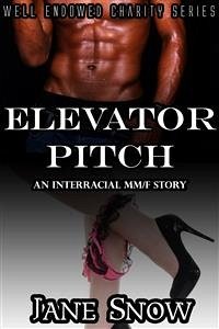 Elevator Pitch (Interracial Black MM/White F Erotic Story) (eBook, ePUB) - Snow, Jane