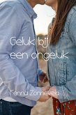 Geluk bij een ongeluk (eBook, ePUB)