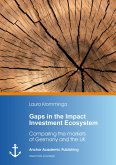 Gaps in the Impact Investment Ecosystem (eBook, PDF)