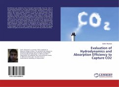 Evaluation of Hydrodynamics and Absorption Efficiency to Capture CO2