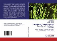 Shlemnik bajkal'skij (Scutellaria baicalensis Georgi)