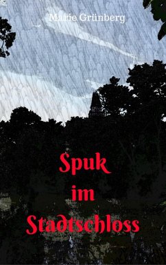 Spuk im Stadtschloss (eBook, ePUB) - Grünberg, Marie