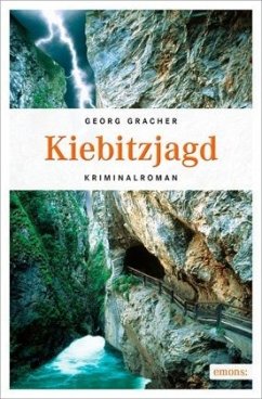 Kiebitzjagd - Gracher, Georg