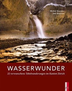 Wasserwunder - Brunner, Michel;Brunner, Ueli