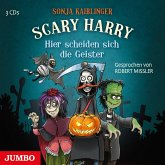 Hier scheiden sich die Geister / Scary Harry Bd.5 (3 Audio-CDs)