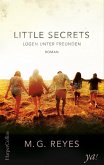 Lügen unter Freunden / Little Secrets Bd.1 (eBook, ePUB)