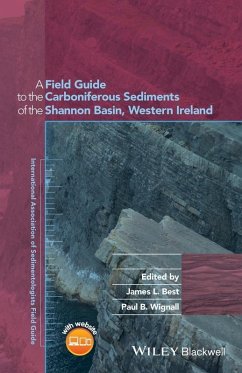 A Field Guide to the Carboniferous Sediments of the Shannon Basin, Western Ireland (eBook, ePUB)