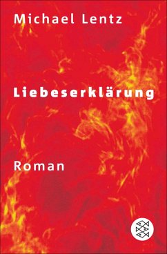 Liebeserklärung (eBook, ePUB) - Lentz, Michael