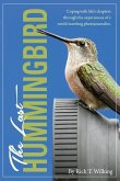 The Last Hummingbird