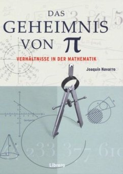 Das Geheimnis von Pi - Navarro, Joaquin