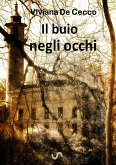 Il buio negli occhi (eBook, ePUB)