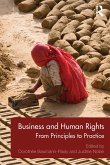 Business and Human Rights (eBook, ePUB)