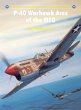 P-40 Warhawk Aces of the MTO (eBook,... - Bild 1
