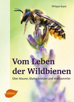 Vom Leben der Wildbienen - Boyer, Philippe