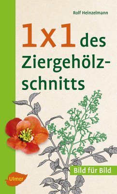 1 x 1 des Ziergehölzschnitts - Heinzelmann, Rolf