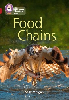 Food Chains - Morgan, Sally