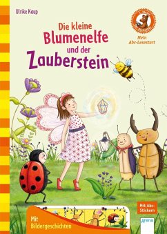 Die kleine Blumenelfe und der Zauberstein - Kaup, Ulrike