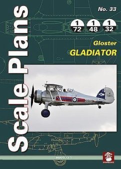 Gloster Gladiator - Karnas, Dariusz