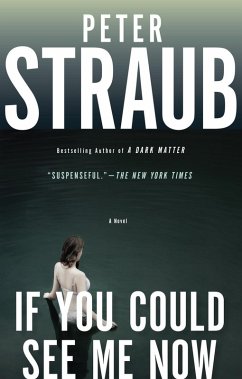 If You Could See Me Now (eBook, ePUB) - Straub, Peter