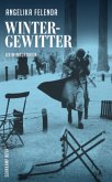 Wintergewitter / Kommissär Reitmeyer Bd.2