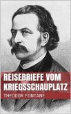 Reisebriefe vom Kriegsschauplatz (eBook, ePUB)