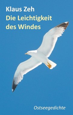 Die Leichtigkeit des Windes (eBook, ePUB)