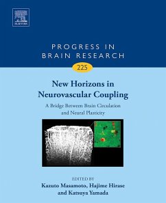 Cover New Horizons in Neurovascular Coupling: A Bridge Between Brain Circulation and Neural Plasticity (eBook, ePUB)