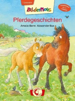 Pferdegeschichten - Benn, Amelie