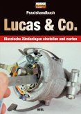 Praxishandbuch Lucas & Co.