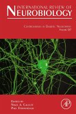 Controversies In Diabetic Neuropathy (eBook, ePUB)