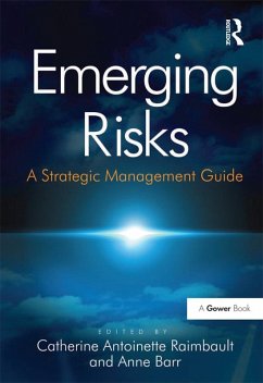 Emerging Risks (eBook, PDF) - Barr, Anne