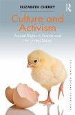 Culture and Activism (eBook, ePUB)