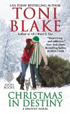 Christmas in Destiny (eBook, ePUB)