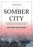 Somber City (eBook, ePUB)