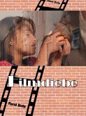 Filmdiebe (eBook, ePUB)