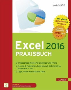 Excel 2016 Praxisbuch (eBook, ePUB) - Schels, Ignatz