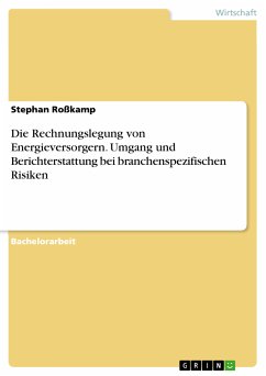 Die Rechnungslegung von Energieversorgern. Umgang und Berichterstattung bei branchenspezifischen Risiken (eBook, PDF) - Roßkamp, Stephan