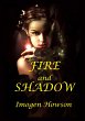 Fire and Shadow (eBook, ePUB) - Bild 1