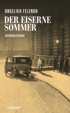 Der eiserne Sommer / Kommissär Reitmeyer Bd.1 - Felenda, Angelika