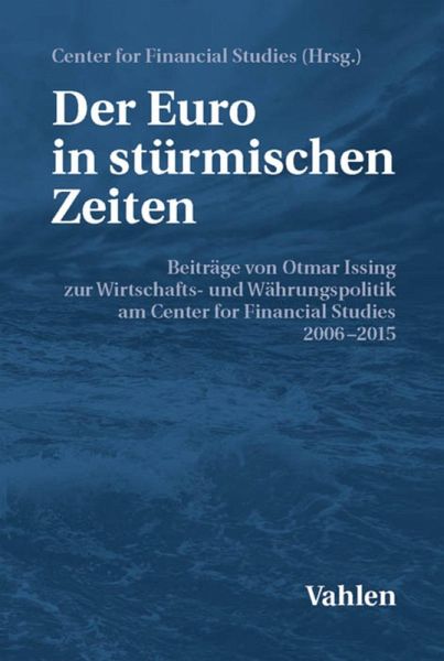 Der Euro in stürmischen Zeiten (eBook, PDF)