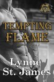 Tempting Flame (Raining Chaos, #3) (eBook, ePUB)