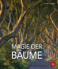 Magie der Bäume - Laudert, Doris Magie der Bäume - Laudert, Doris