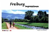 Freiburg Impressionen