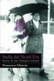 Stella del Nord-Est (eBook, ePUB)