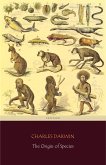 The Origin of Species (Centaur Classics) (eBook, ePUB)