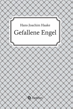 Gefallene Engel (eBook, ePUB) - Haake, Hans-Joachim