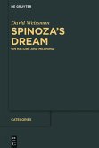 Spinoza's Dream (eBook, ePUB)