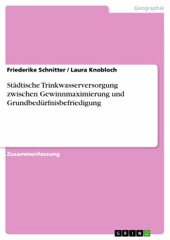 Städtische Trinkwasserversorgung zwischen Gewinnmaximierung und Grundbedürfnisbefriedigung (eBook, PDF)