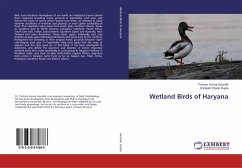 Wetland Birds of Haryana