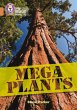 Mega Plants - Bild 1